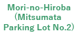 森の広場（三股第2駐車場）
